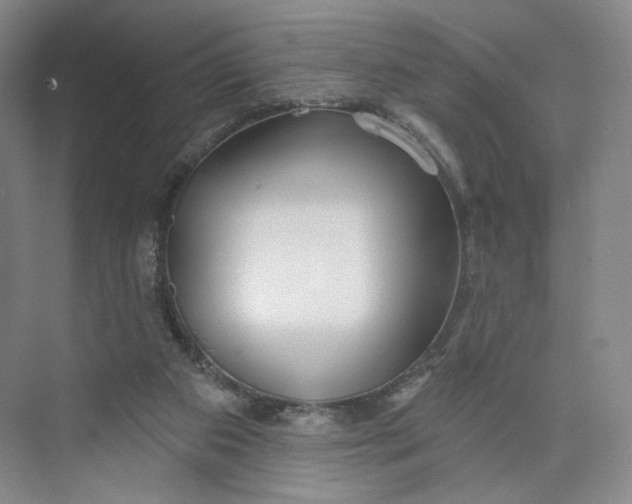 X0000073950113200609111700