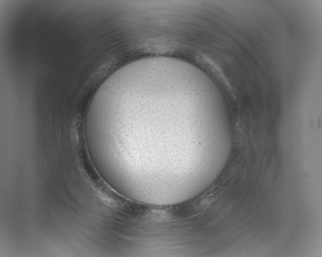 X0000073950114200609111700