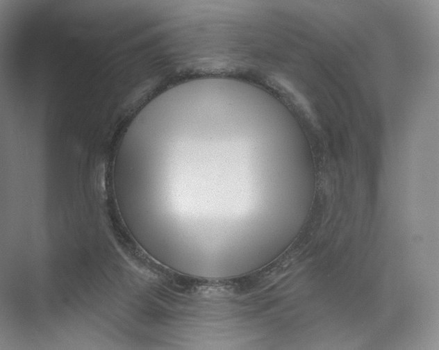 X0000073950115200609111700