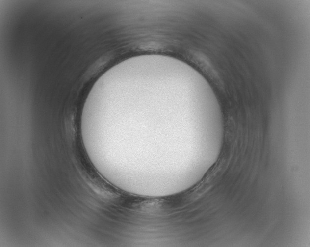 X0000073950116200609111700