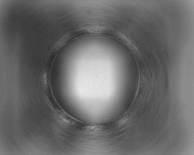 X0000073950117200609111700