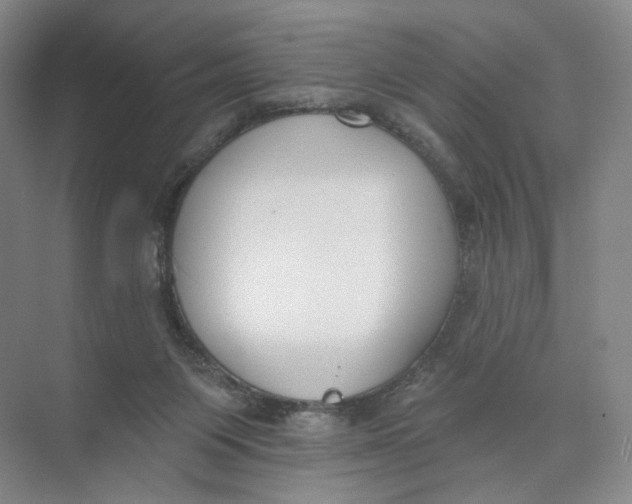 X0000073950119200609111700