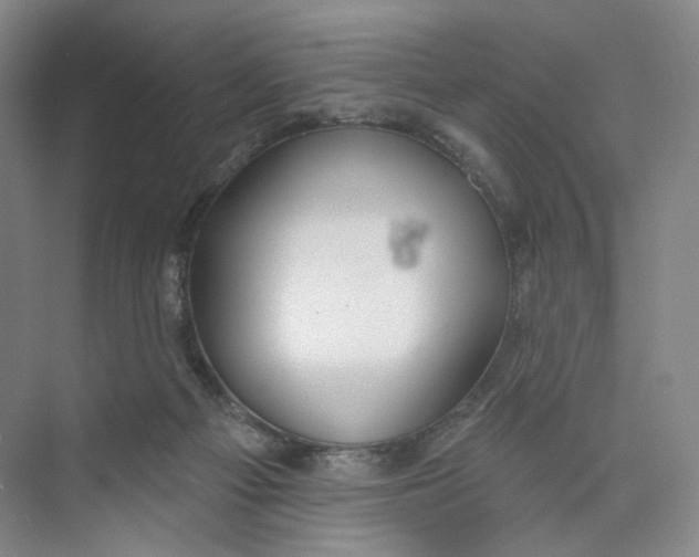 X0000073950121200609111700