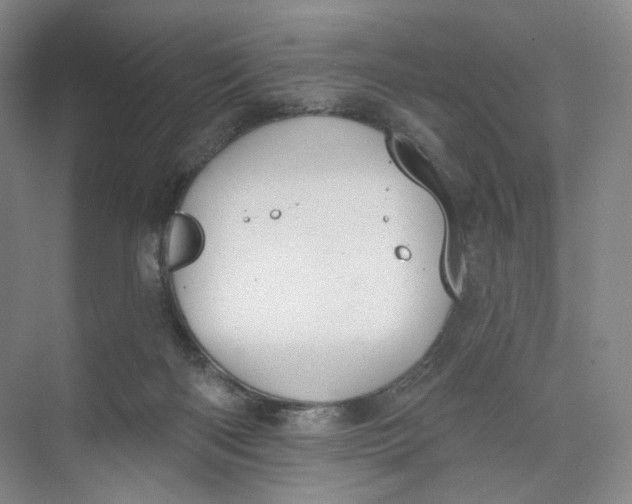 X0000073950122200609111700