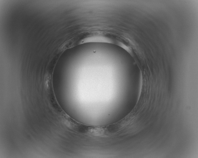 X0000073950125200609111700