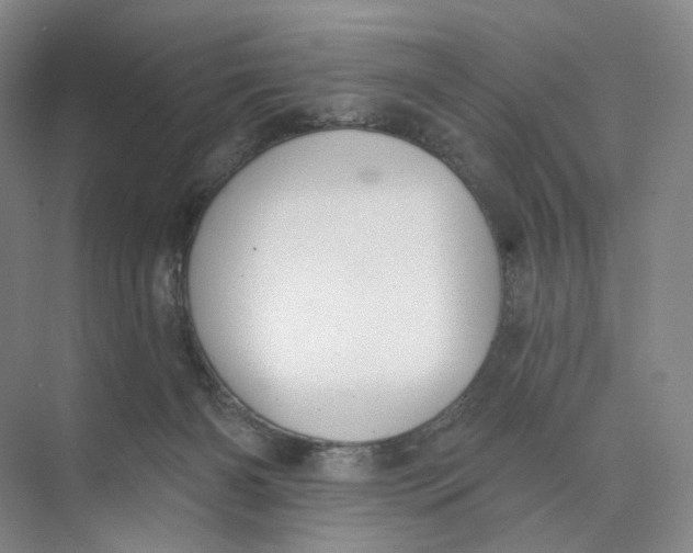 X0000073950126200609111700