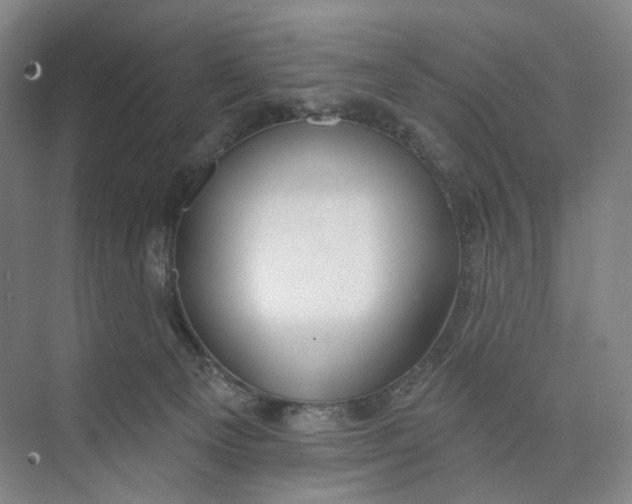 X0000073950129200609111700