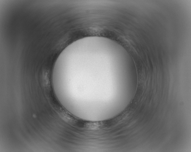 X0000073950131200609111700