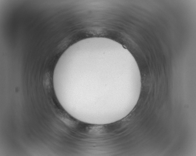 X0000073950132200609111700