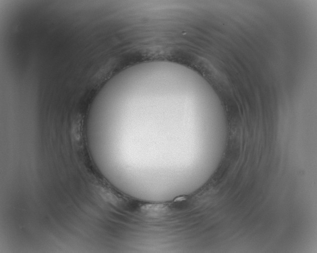 X0000073950133200609111700