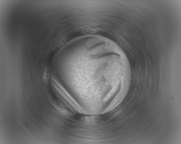 X0000073950134200609111700