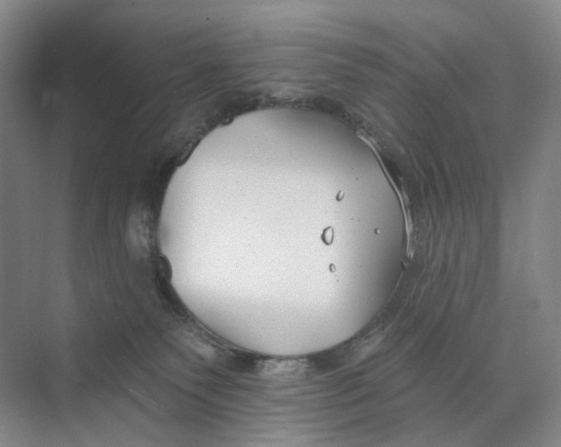 X0000073950135200609111700