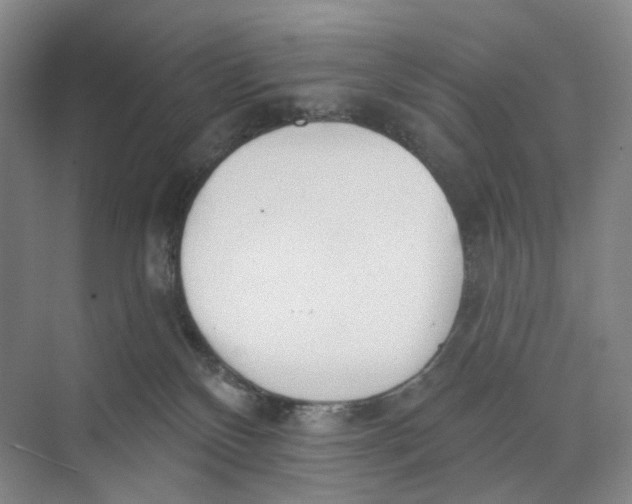 X0000073950136200609111700