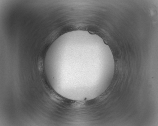 X0000073950138200609111700