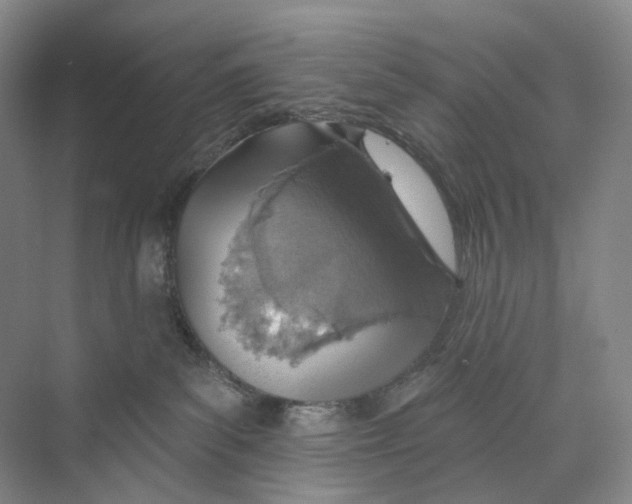 X0000073950139200609111700