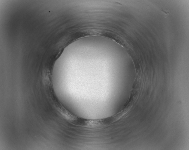 X0000073950141200609111700