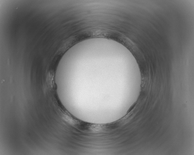 X0000073950142200609111700