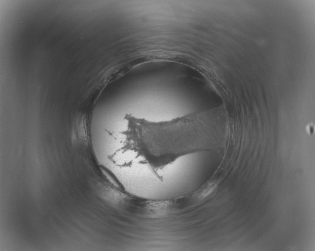 X0000073950143200609111700