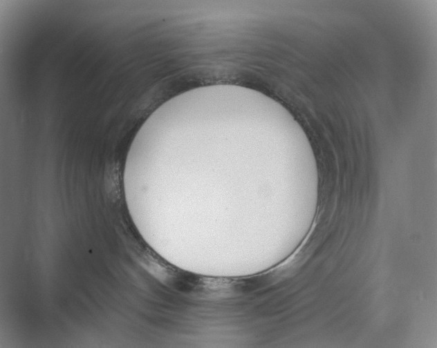 X0000073950144200609111700