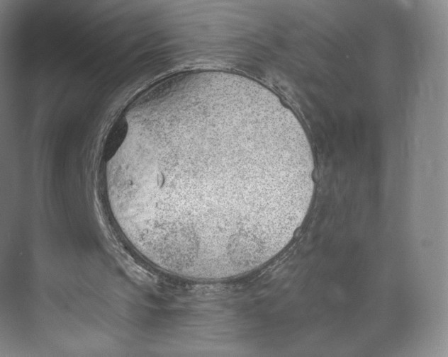 X0000073950145200609111659