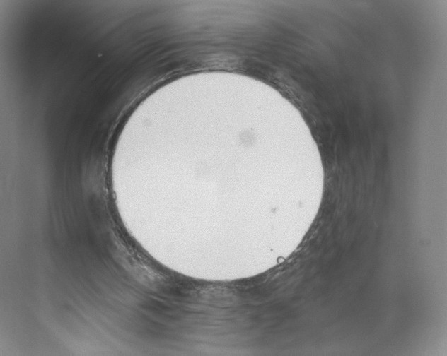 X0000073950146200609111659