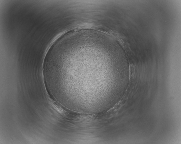 X0000073950147200609111659