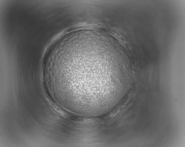 X0000073950149200609111659