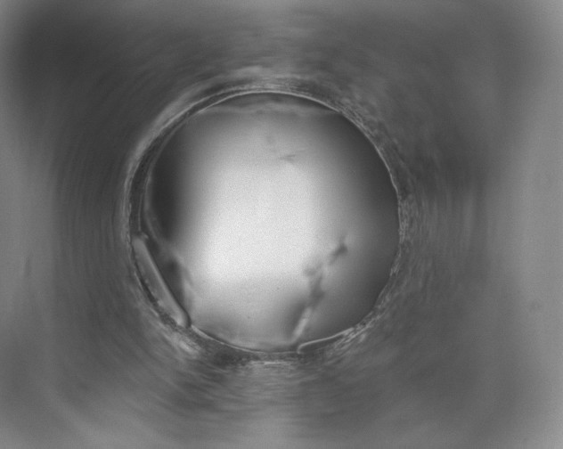 X0000073950150200609111659