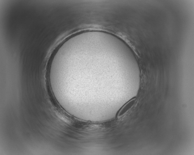 X0000073950151200609111659