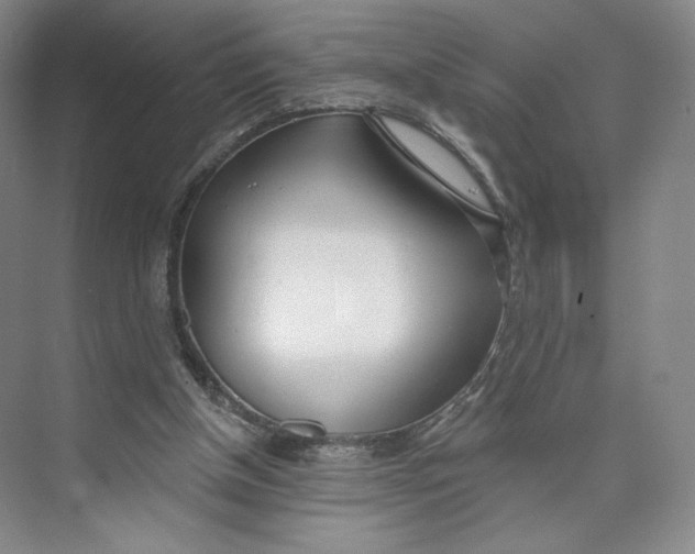 X0000073950154200609111659