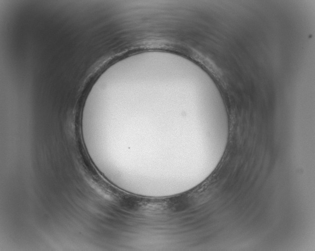 X0000073950155200609111659