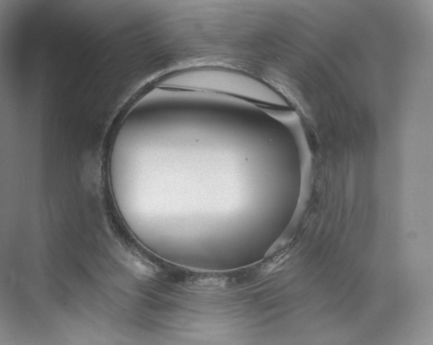 X0000073950156200609111659