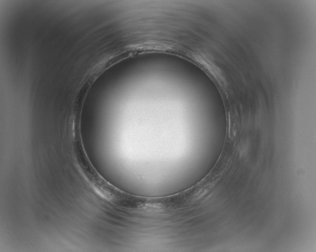 X0000073950157200609111659