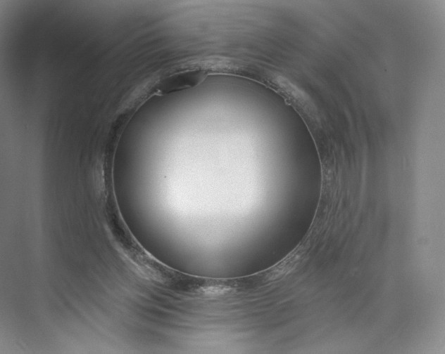 X0000073950158200609111659