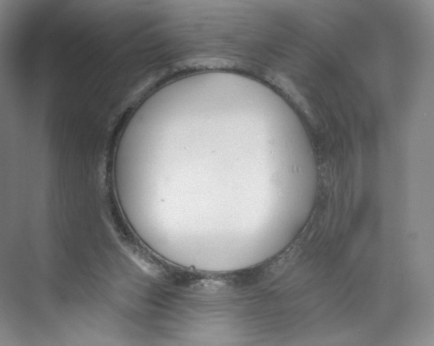 X0000073950159200609111659