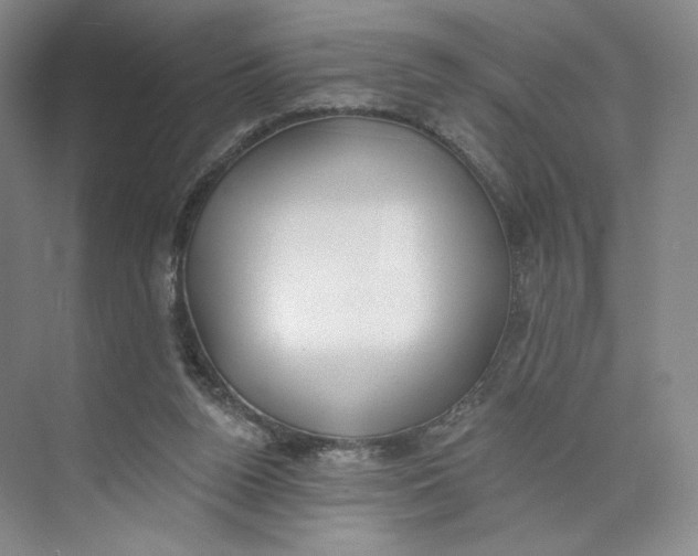 X0000073950160200609111659