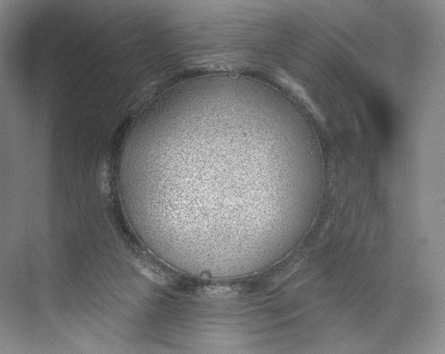 X0000073950161200609111659