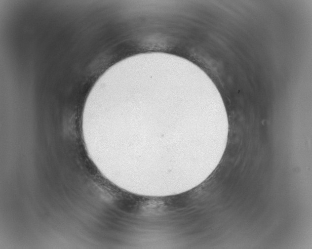 X0000073950162200609111659