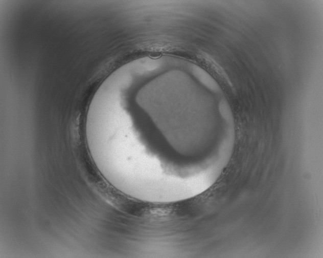 X0000073950163200609111659