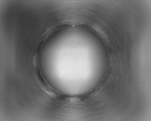 X0000073950165200609111659