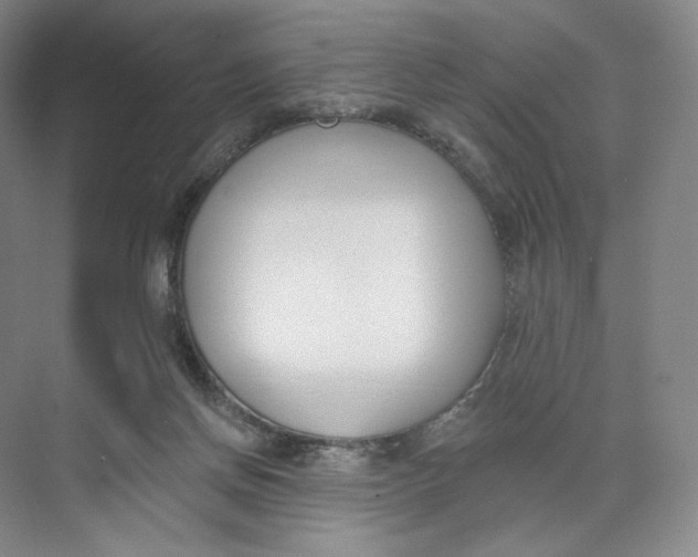 X0000073950166200609111659