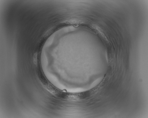 X0000073950167200609111659