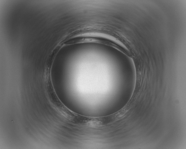 X0000073950168200609111659