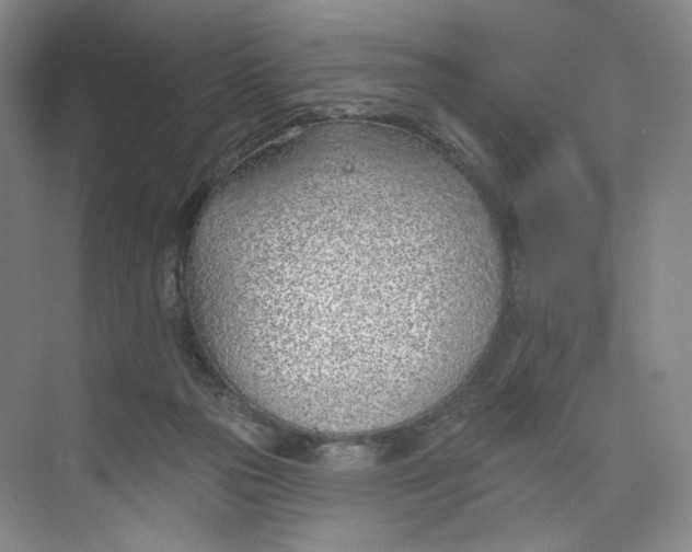 X0000073950169200609111659