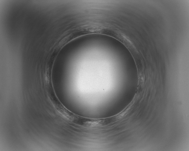 X0000073950170200609111659