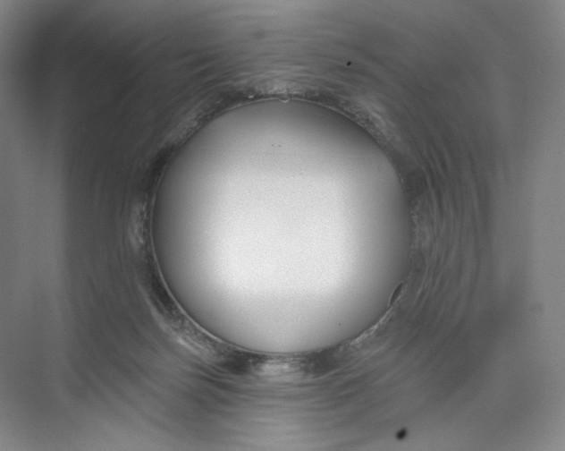 X0000073950171200609111659