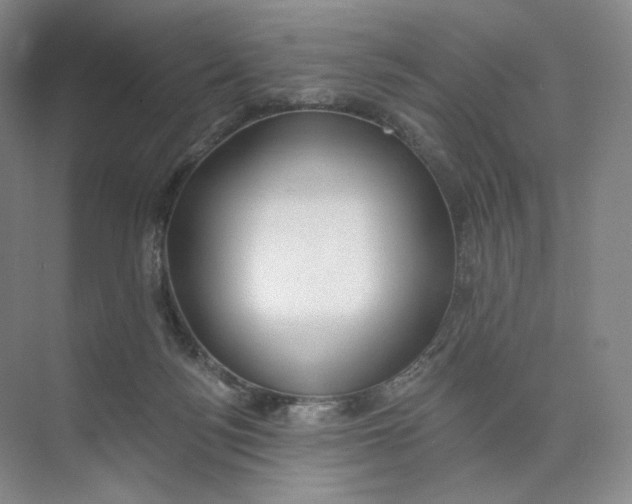 X0000073950172200609111659