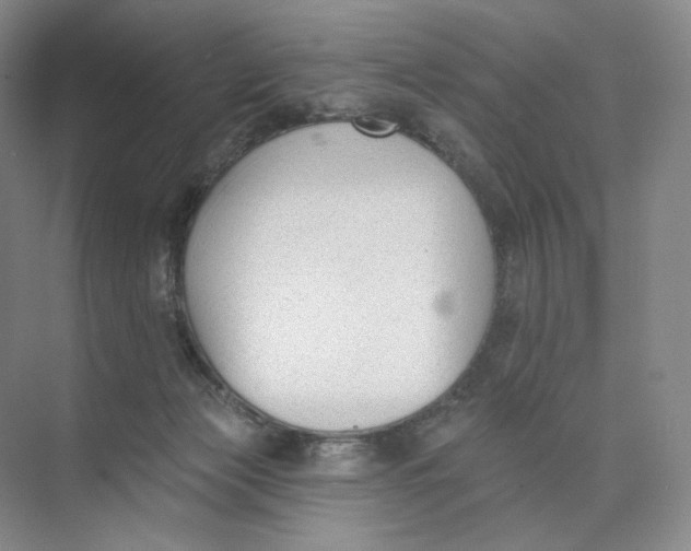 X0000073950173200609111659