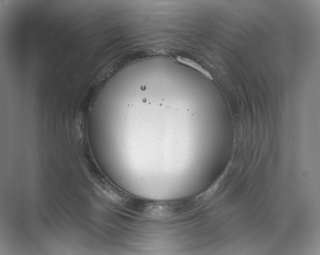 X0000073950174200609111659