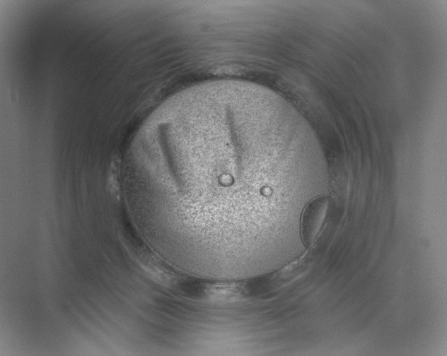 X0000073950175200609111659